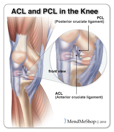 ACL/PCL Treatment - GenuTrain S Knee Brace